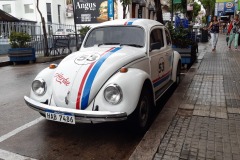 Herbie in Paysandú